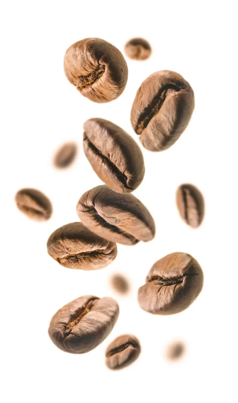 beans